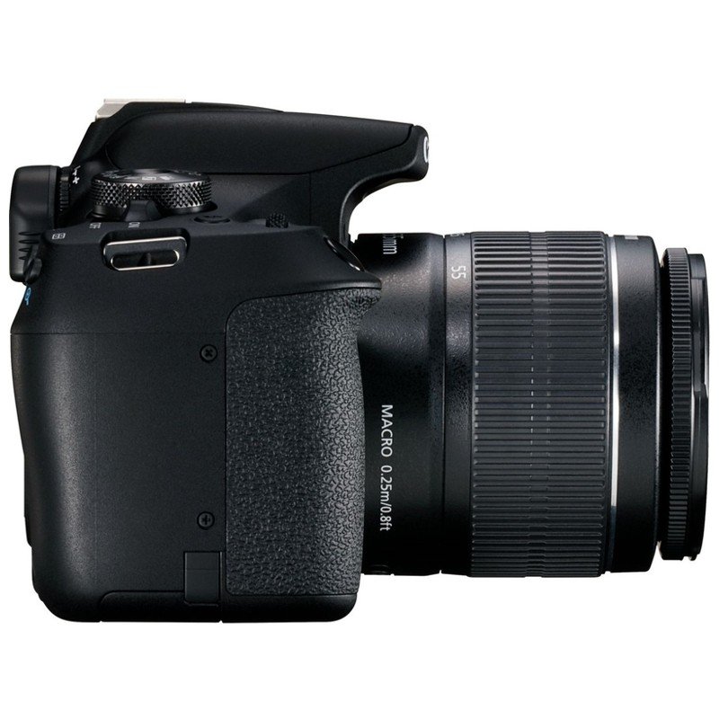 Canon EOS 2000D + EF-S 18-55 IS II - Imagem 5